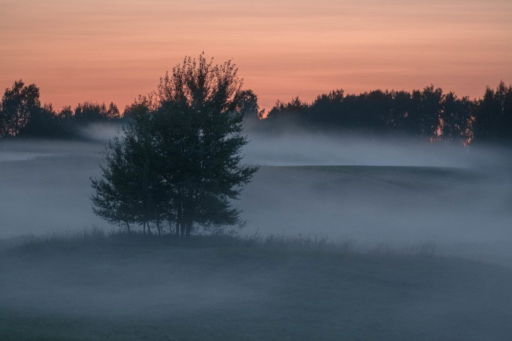 Photograph by Tomas Ivašauskas