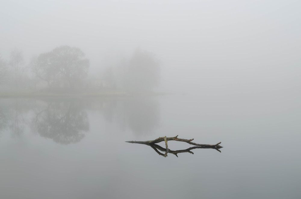 Photograph by Tomas Ivašauskas