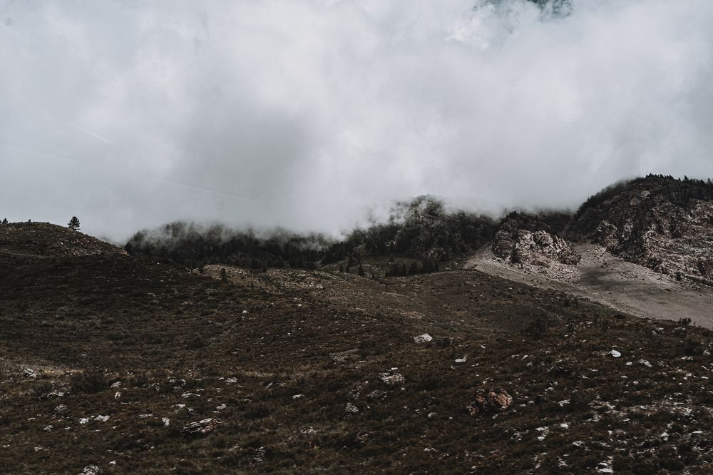 Photograph by Дарья Александровна Кочанова