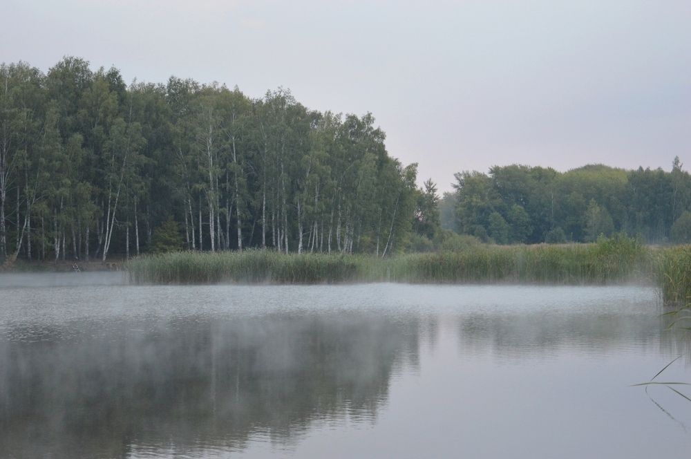 Пробуждение.