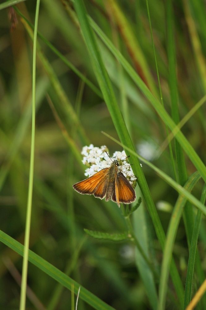 Фотография автора Геннадий Титов