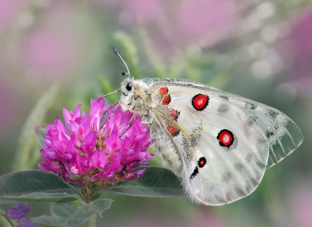 Photograph by Дарья