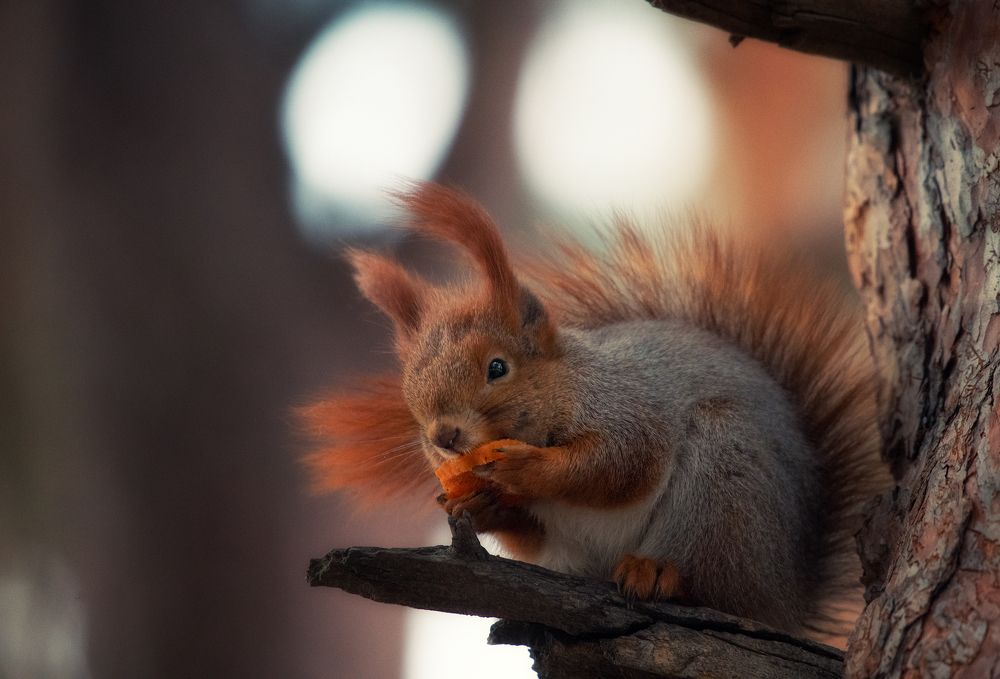 Photograph by Андрей Жила