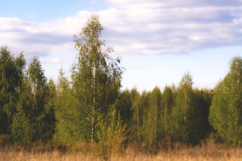 Фотография автора Андрей Жданов