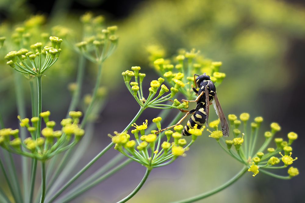 Photograph by Альфия Агзамова