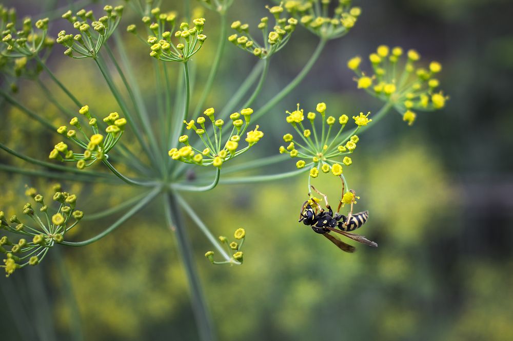 Photograph by Альфия Агзамова