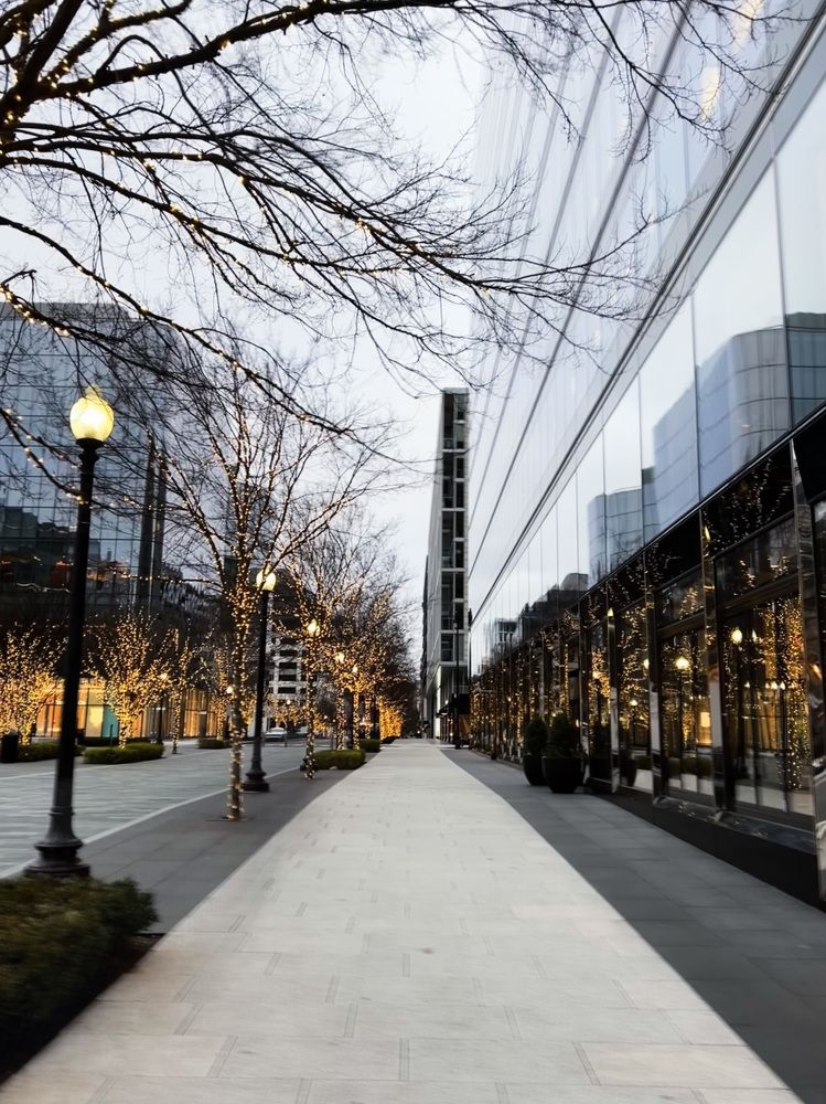 Фотография автора Veera Holdai