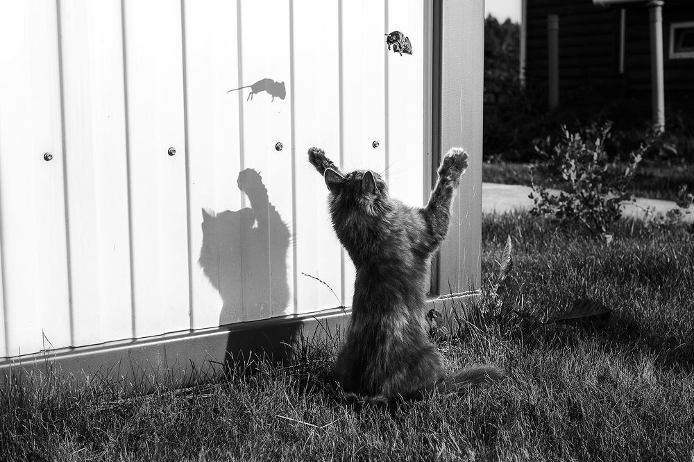 Photograph by Чистякова Валерия