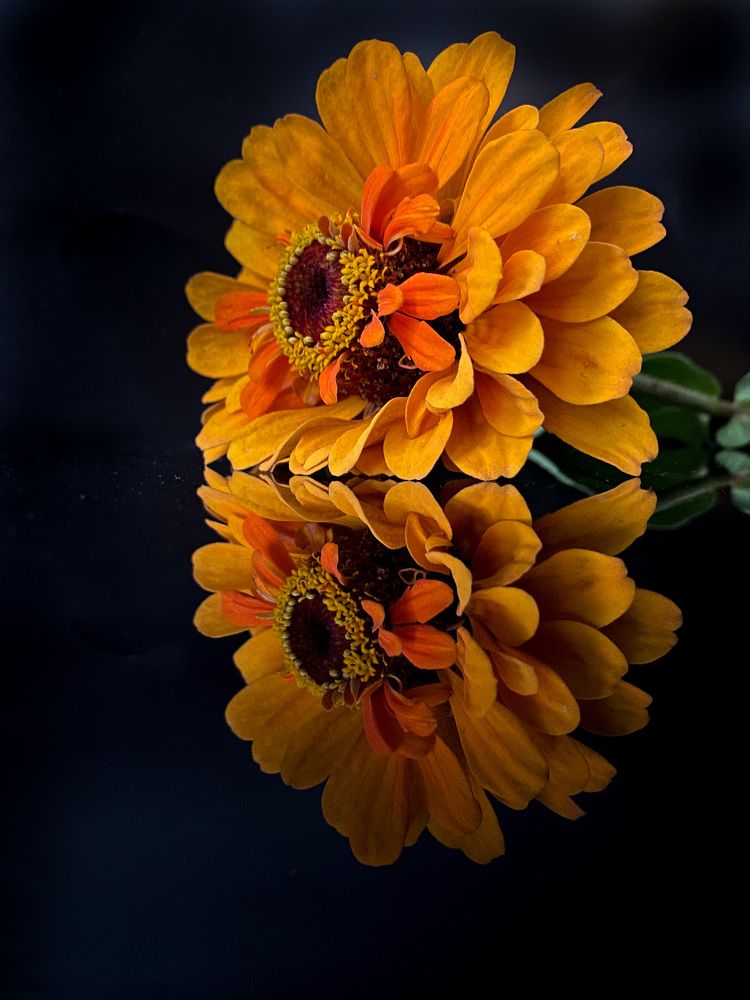 Photograph by Вера Романова