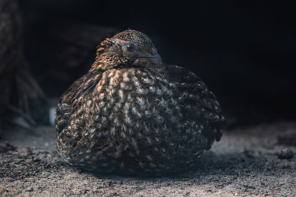 Photograph by Ирина Салминен