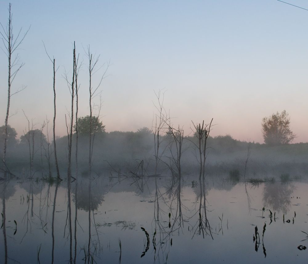 Фотография автора Rasa Zdaniene