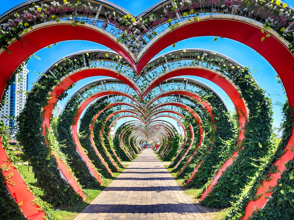 Photograph by Анна Липоткина