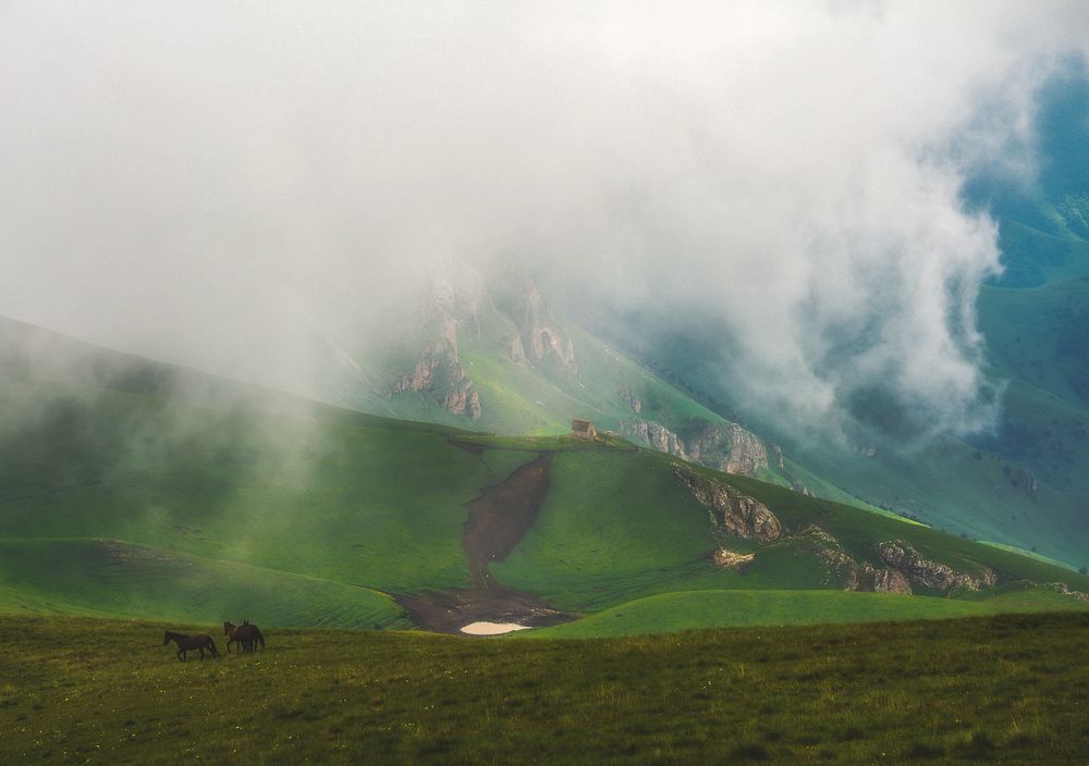 Photograph by Кахарова Наргиза