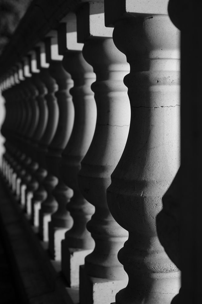 Photograph by Полина Самойлова