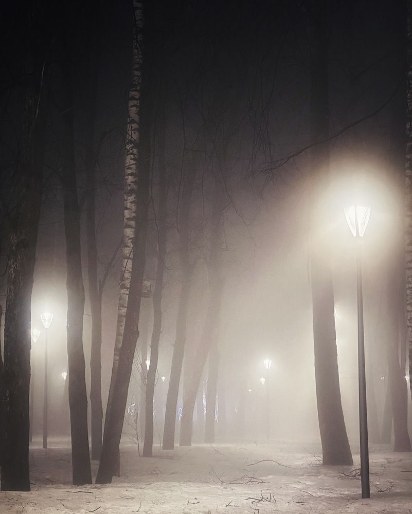 Photograph by Evgenia Privalova