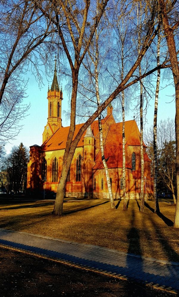 Фотография автора Rasa Zdaniene