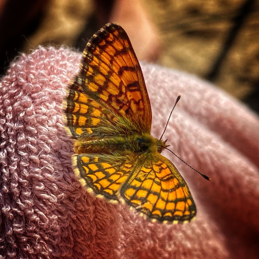 Photograph by Evgenia Privalova