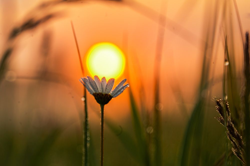 Photograph by Евгений Калагаев