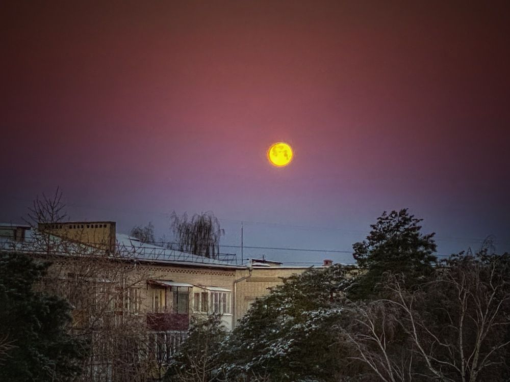 Photograph by Evgenia Privalova