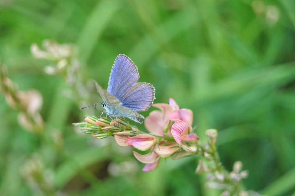 Photograph by Ксения Шакирова