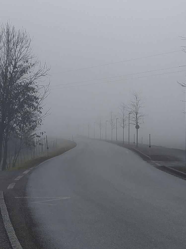 Фотография автора Inna Osminina