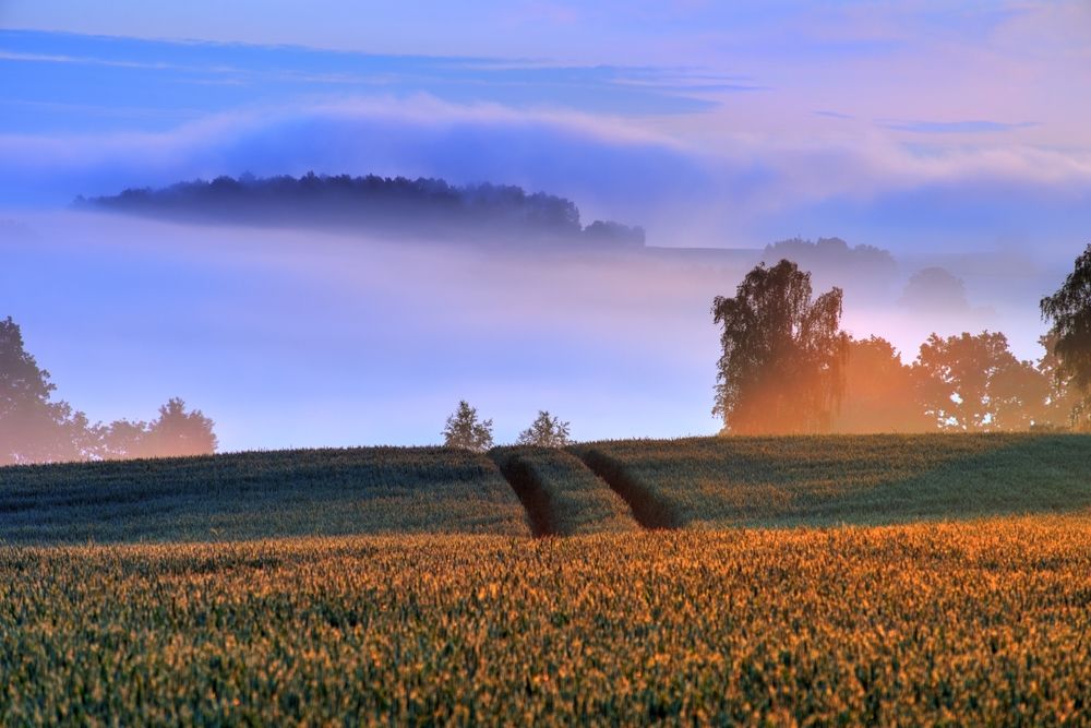 Photograph by Maciej Wydmuch