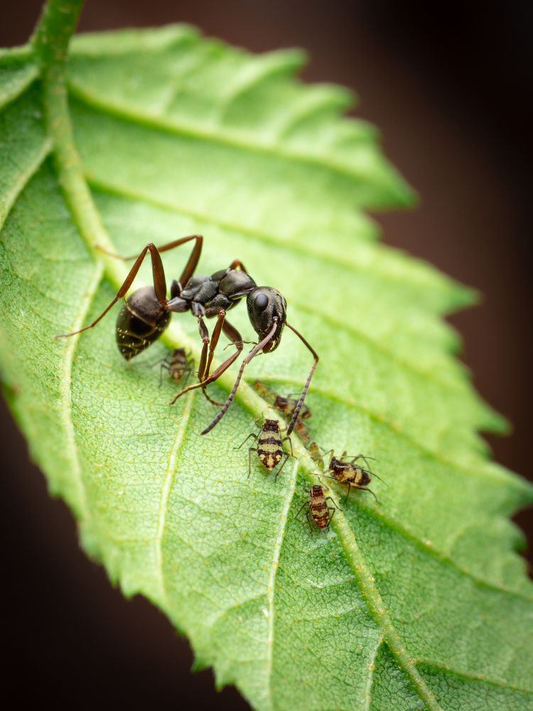 Photograph by Gevork Gukasyan