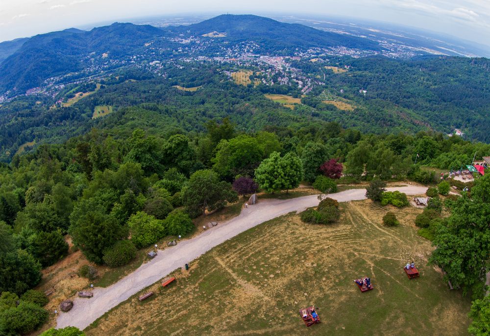 Фотография автора Najla Angawi