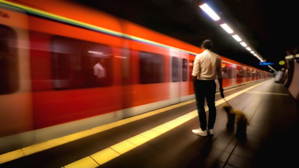 Фотография автора Najla Angawi