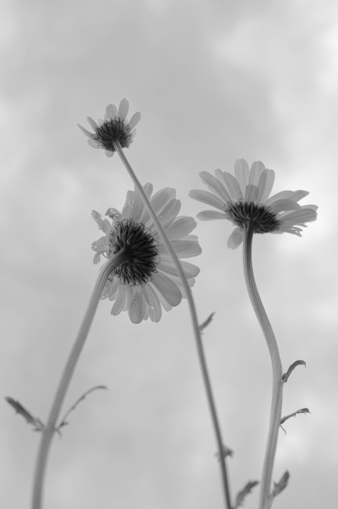 Photograph by Евгений Козлов