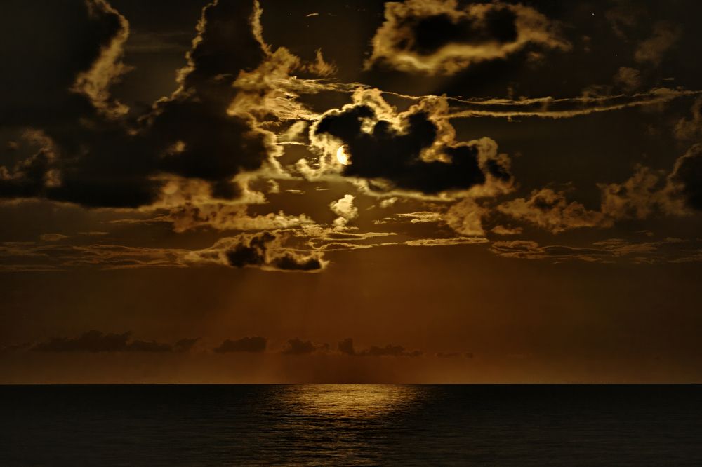 Photograph by Morring David