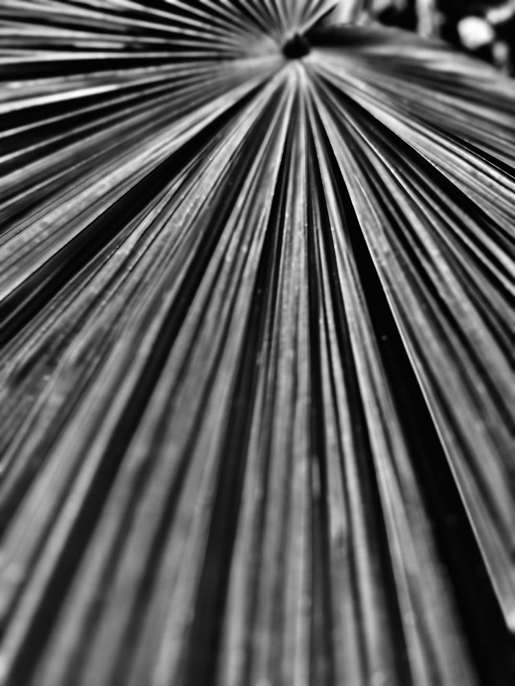 Photograph by Giovanni Gondim de Castro