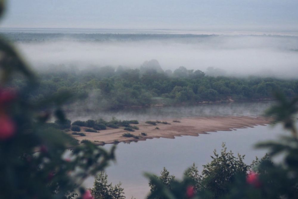 Фотография автора Евгения Никишина