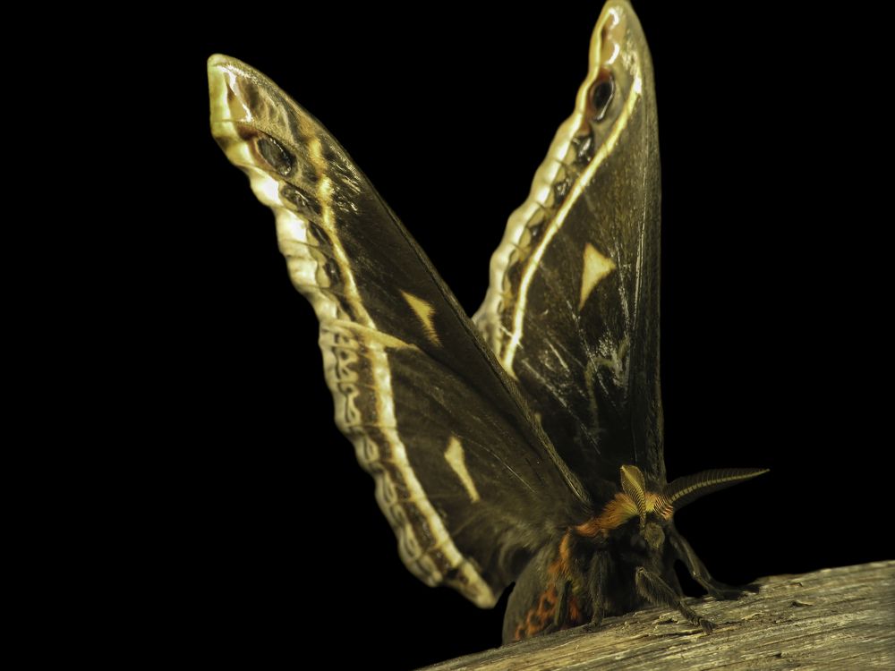 Photograph by Omar Rangel