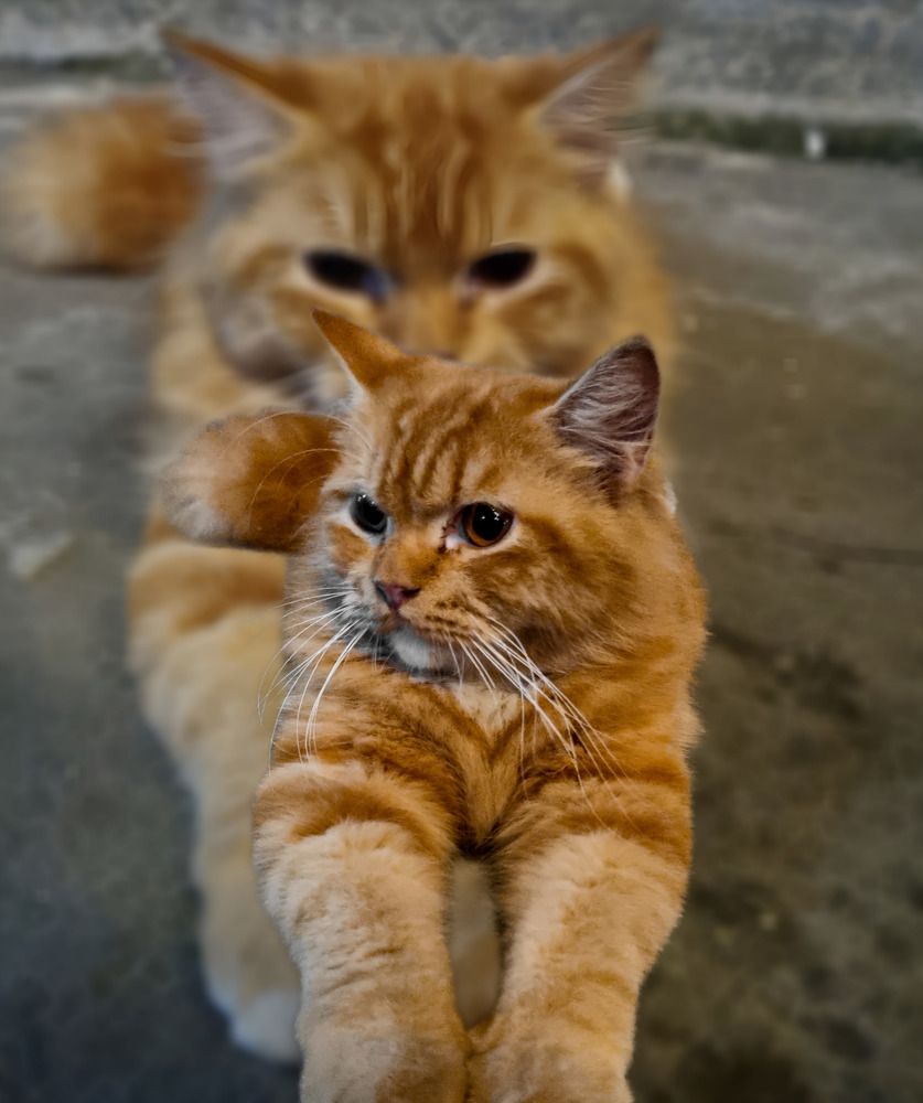 Photograph by Edi Hidayat