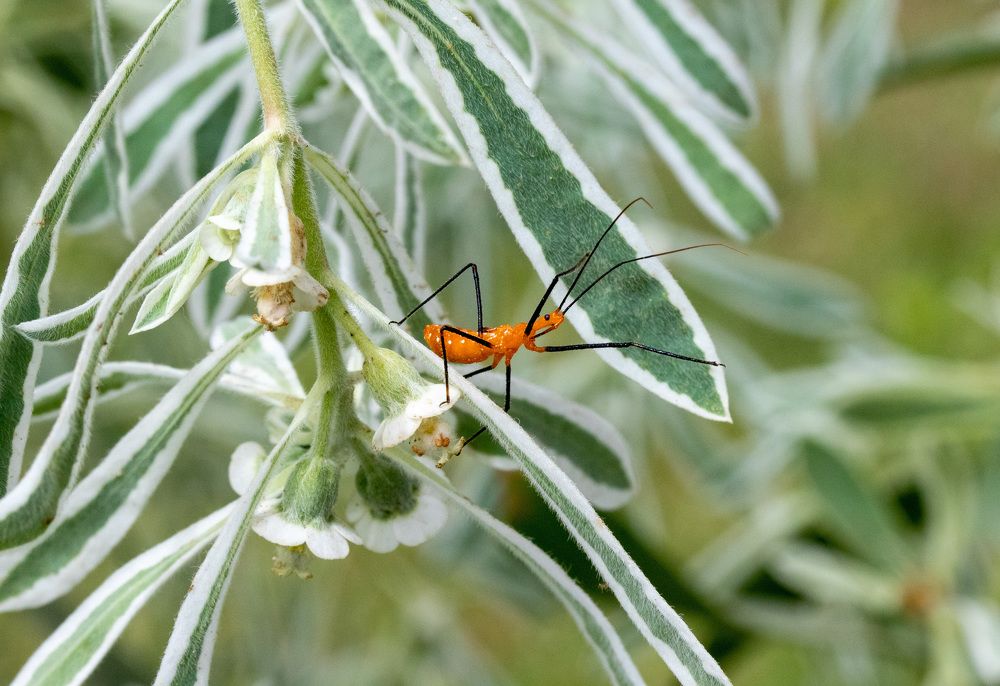 Photograph by Анатолий Костерев