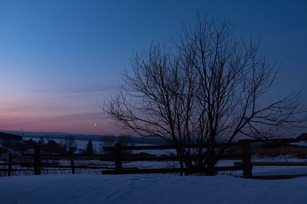 Photograph by Татьяна Шарлап