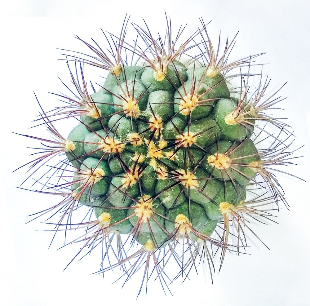 Photograph by Савчук Сергей