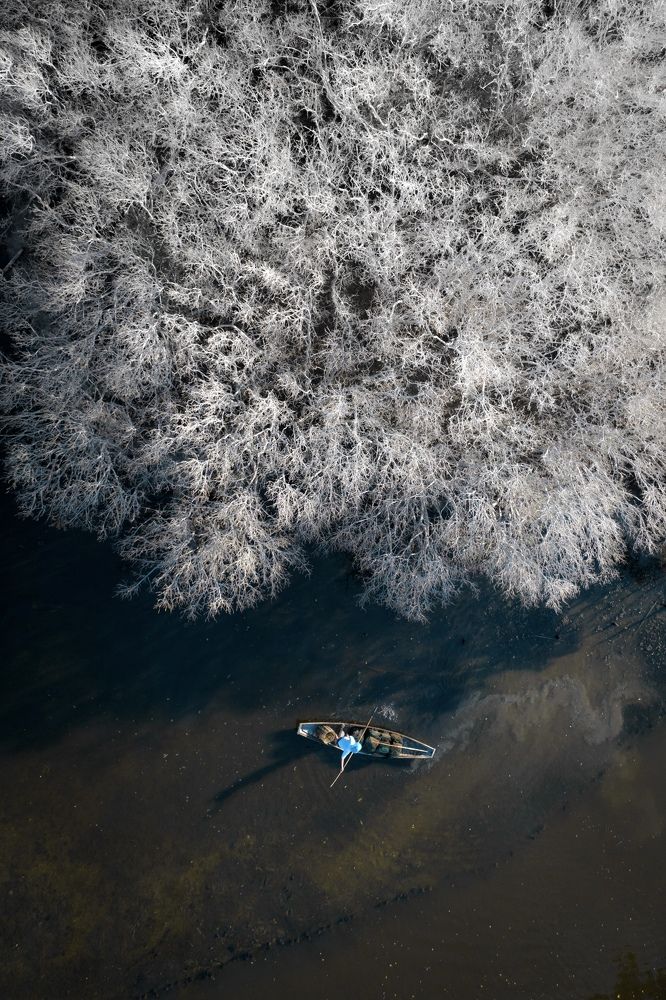 Photograph by Minh Tú Nguyễn