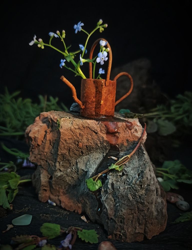 Photograph by Злата