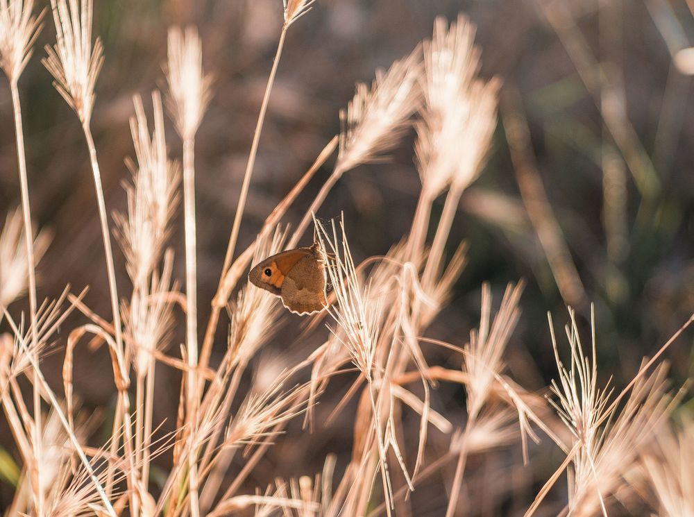 Photograph by Щербак Анатолий