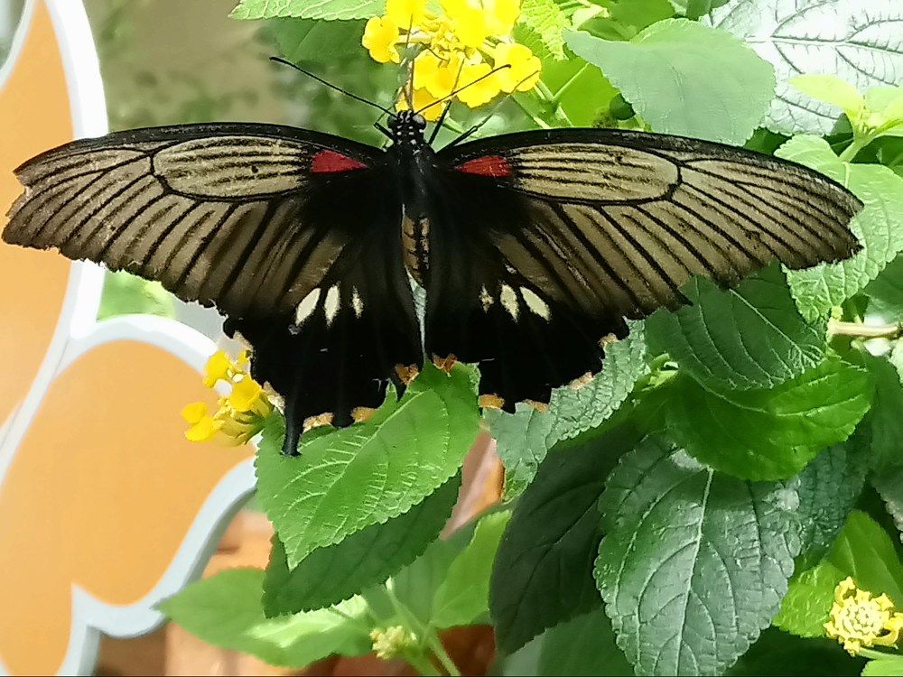 Photograph by Oleg Guchgeldiev