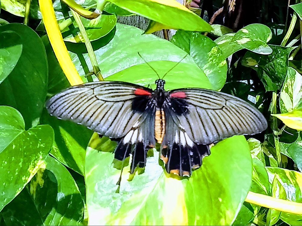 Photograph by Oleg Guchgeldiev