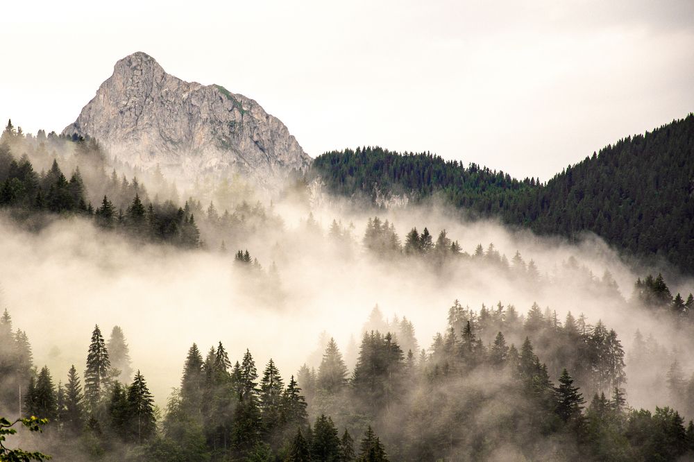 Фотография автора Тетяна Суліма