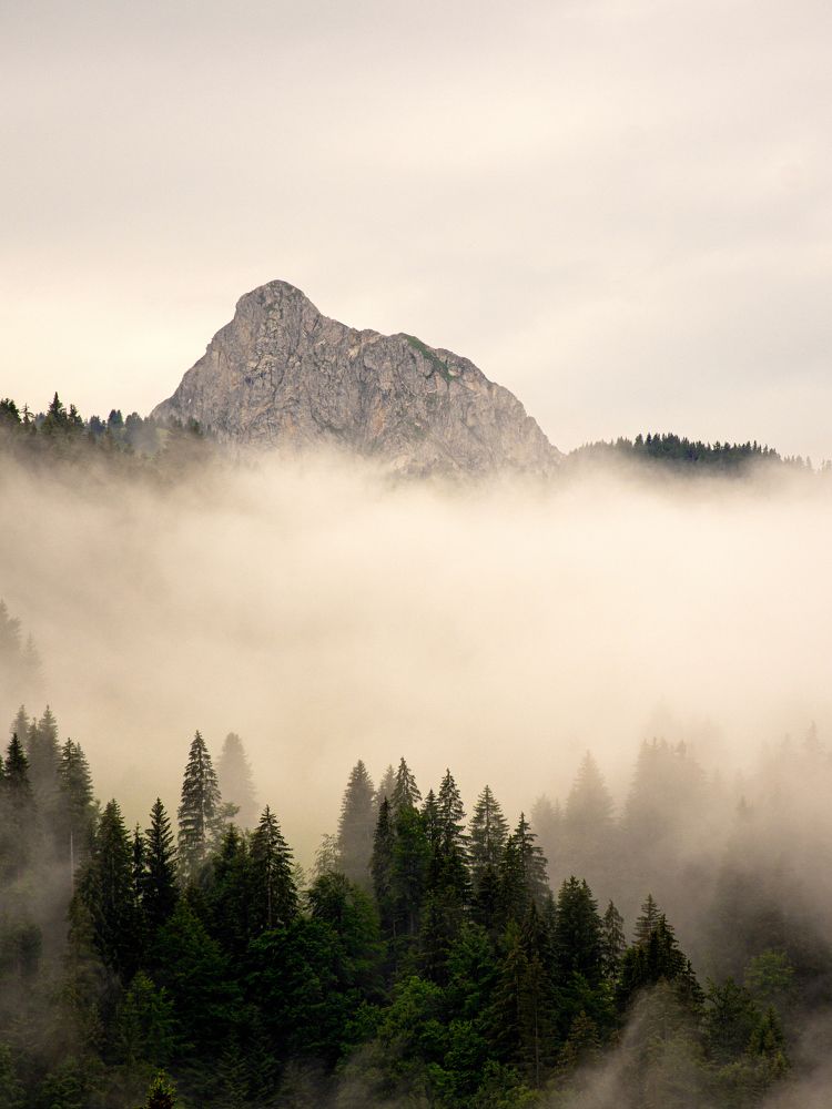 Фотография автора Тетяна Суліма
