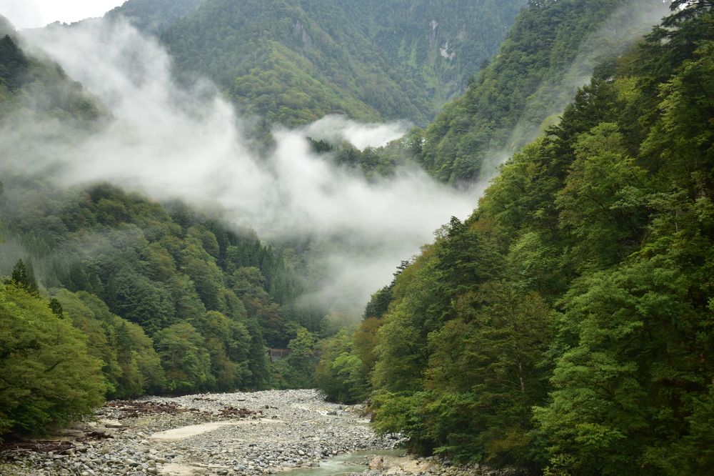 Photograph by Chakraborty Writuparna