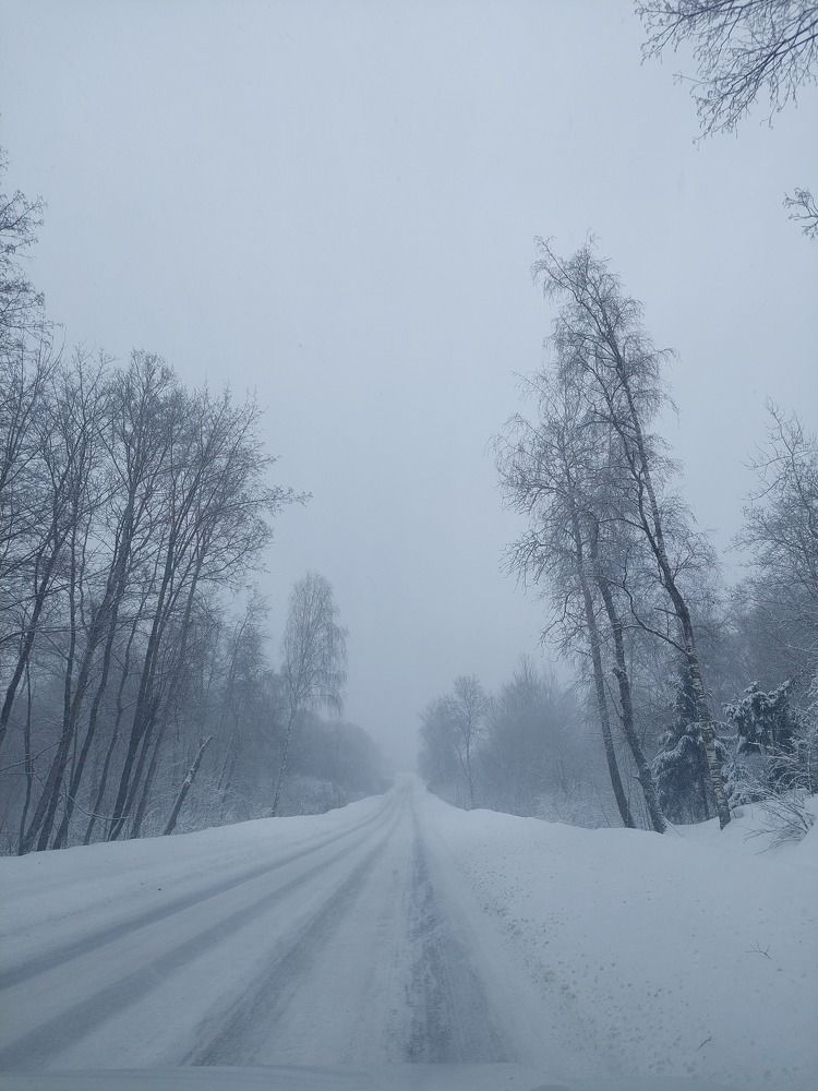 Photograph by Елена Тимченко