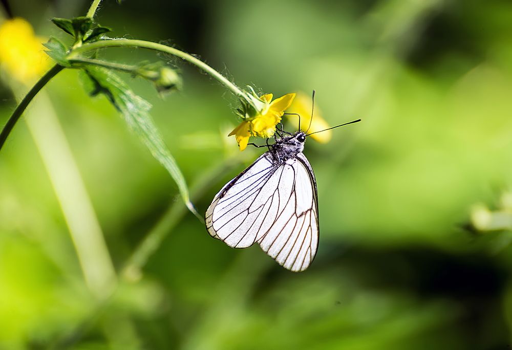 Photograph by Олег Русинович