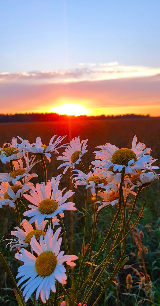 Photograph by Светлана Голубева