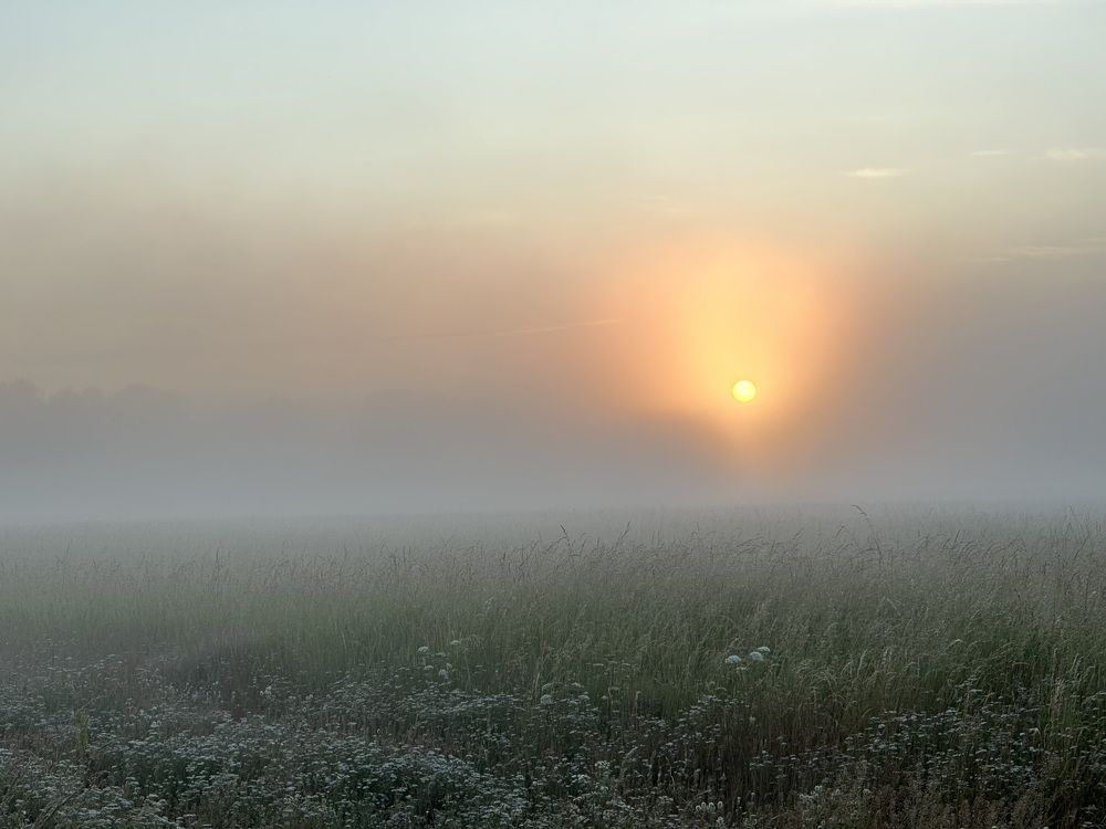 Photograph by Наталья Сережко